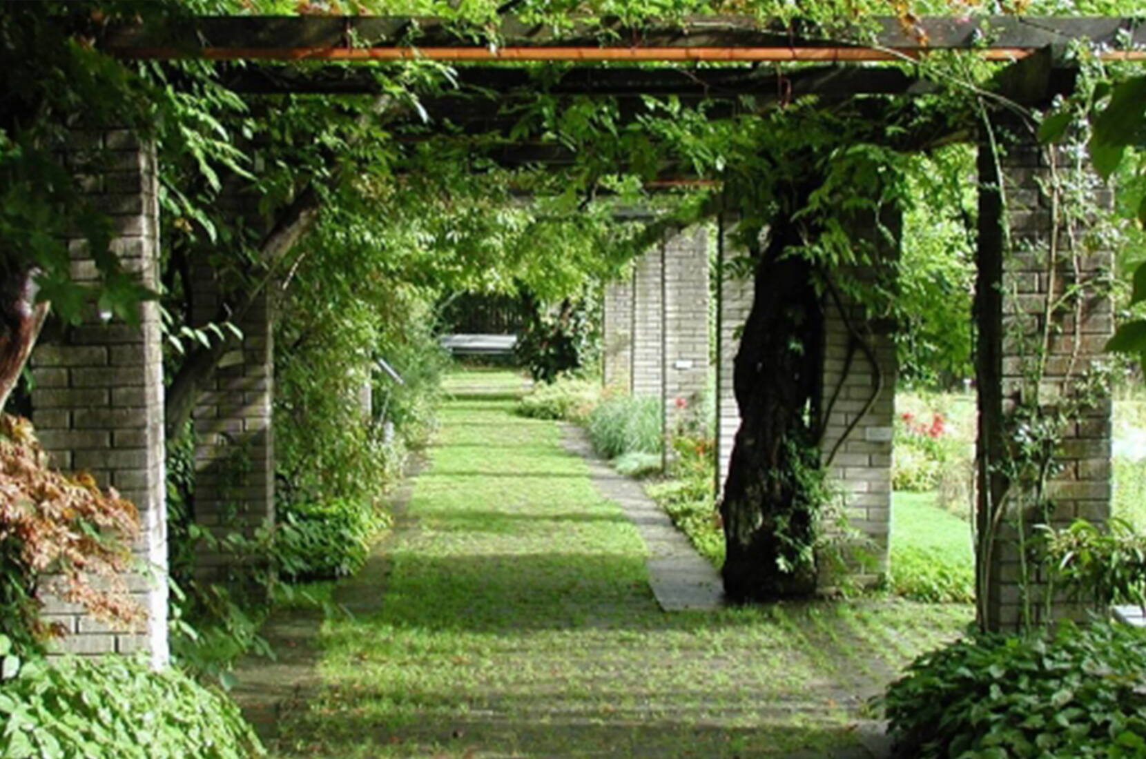 Familienausflug Botanischer Garten St. Gallen. Im Botanischen Garten leben rund 8000 verschiedene Pflanzenarten aus aller Welt in rund 20 verschiedenen Abteilungen. Die Freilandanlagen sind nach der geografischen Herkunft, ihrer Nutzung und nach schulischen Gesichtspunkten angelegt.