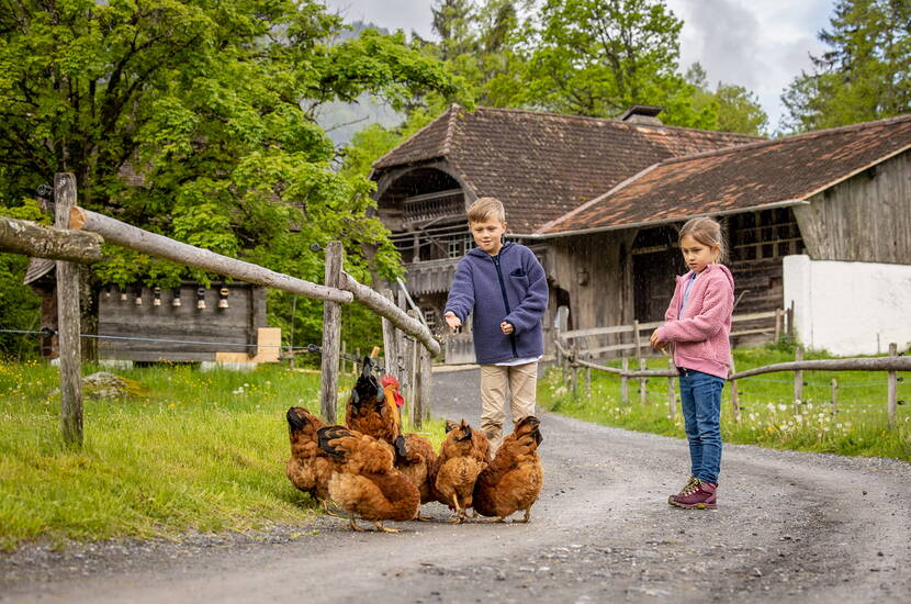 Zoom: Scopri la Svizzera in un solo luogo! 110 edifici provenienti da tutte le regioni del paese, 200 animali da fattoria e 30 mestieri artigianali storici ti aspettano nel museo all'aperto Ballenberg. Vivi la vita quotidiana dei tempi passati nelle case originali. Ogni edificio racconta la sua storia. Visita le botteghe, dove i vecchi mestieri e le tradizioni prendono nuova vita.