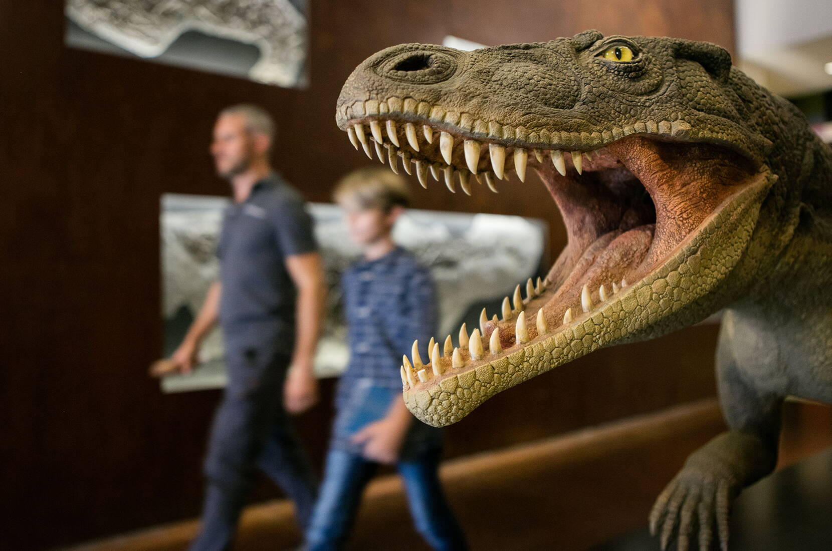 Familienausflug Fossilienmuseum. 
Ein Besuch dieser Landschaft, seiner Dörfer und Fossilienmuseen ermöglicht die faszinierende Entdeckung einer seit mehr als 200 Millionen Jahren vergangenen Welt.