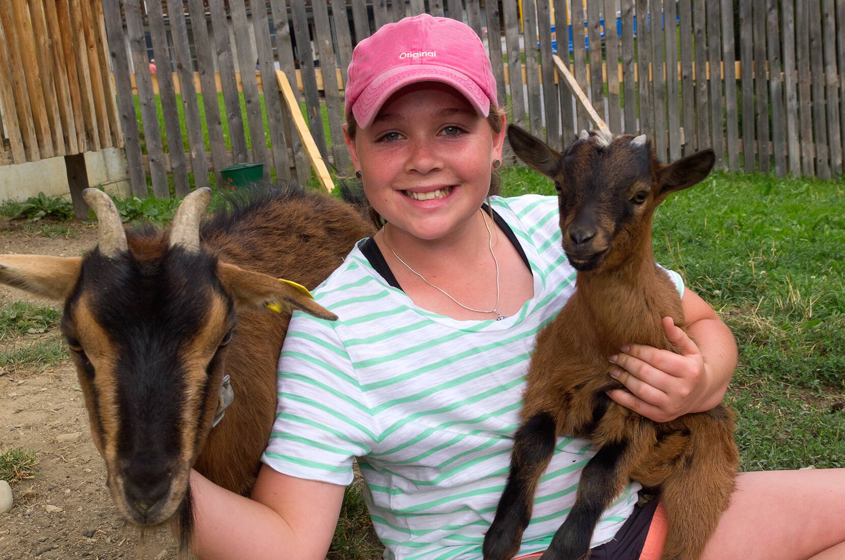 Excursion en famille au restaurant d'altitude Ämpächli. Le restaurant d'altitudegn est un véritable paradis pour les enfants - y compris une aire de jeux intérieure, un zoo où l'on peut caresser les animaux et une mine d'or.