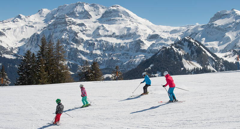 20 % de réduction sur les cartes journalières de ski Betelberg. Le Betelberg est jeune et moderne. Les pistes larges, ouvertes et parfaitement préparées permettent de faire du carving avec plaisir. Les familles apprécient le Kinderland Stoss et les téléskis pour enfants autour de la station intermédiaire. 