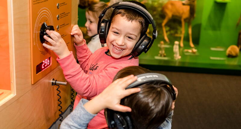 Familienausflug Naturmuseum Solothurn. Das Naturmuseum Solothurn weckt bei seinen Besucherinnen und Besucher Interesse, Begeisterung, Verständnis und Liebe für die Natur.