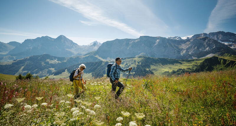 Die Wanderung auf dem Blumenweg ist ein spannendes und lehrreiches Erlebnis am VogellisiBerg.