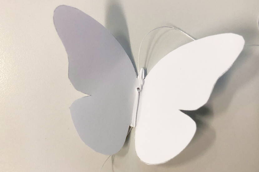 Schmetterlings-Mobile Lade dir jetzt unsere kostenlose Druckvorlage Schmetterlinge herunter und bastle unser Mobile nach. Ausserdem erhältst du eine ausführliche Schritt-für-Schritt-Anleitung sowie eine Auflistung der benötigten Materialien. Das filigrane Mobile setzt in jedem Raum Akzente.