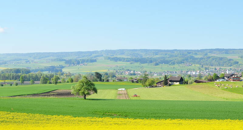 Excursion en famille sur le sentier à travers le Freiamt. Le sentier à travers le Freiamtest un itinéraire culturel qui traverse le paysage du Freiamt sur 180 kilomètres balisés. Le chemin passe par des trésors artistiques et culturels, des monastères et d'anciennes villes, des églises magnifiquement restaurées, des fermes bien conservées, des scieries et des moulins, mais aussi par des ruisseaux qui coulent naturellement, des forêts tranquilles et des pâturages luxuriants.