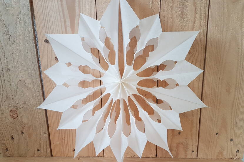 Weihnachtsstern aus Butterbrottüten Schnell und günstig gebastelt, ist er das Highlight jeder weihnachtlich geschmückten Wohnung. Wir zeigen dir, welche zusätzlichen Materialien du dafür benötigst und begleiten dich Schritt für Schritt durch den Bastelprozess.