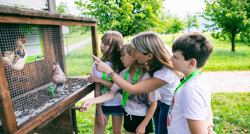 Foxtrail – l'avventura urbana per tutta la famiglia. Volete vedere la regione di Weggis-Vitznau con occhi diversi e vivere insieme qualcosa di speciale? Al Lago dei Quattro Cantoni, la Volpe ha scelto un percorso pittoresco.