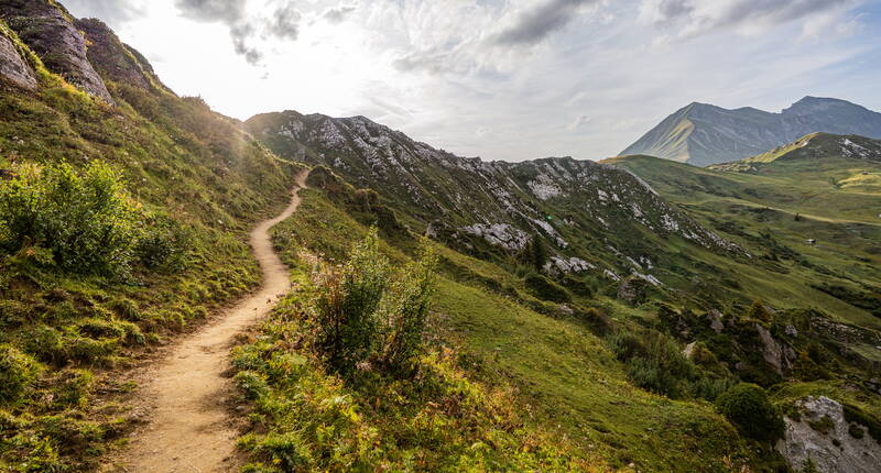 Le Betelberg cache un lieu fascinant avec un paysage extraordinaire: le Gryden. Randonner – s'étonner – savourer, telle est la devise du circuit d'altitude Gryden. Le départ et l'arrivée du circuit se font à la station supérieure de Leiterli.