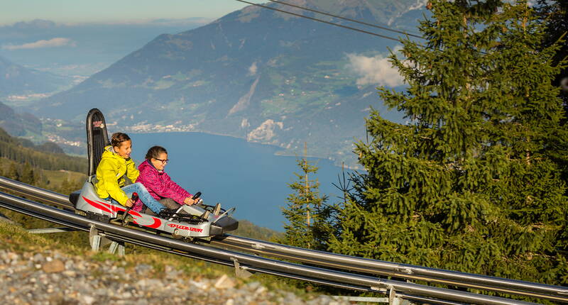 Familienausflug FLOOMZER Flumserberg. Flitze auf der Sommerrodelband vom Crüz bis zum Tannboden über Brücken, Kurven, Wellen, Mulden, Kreisel und Tunnel. 