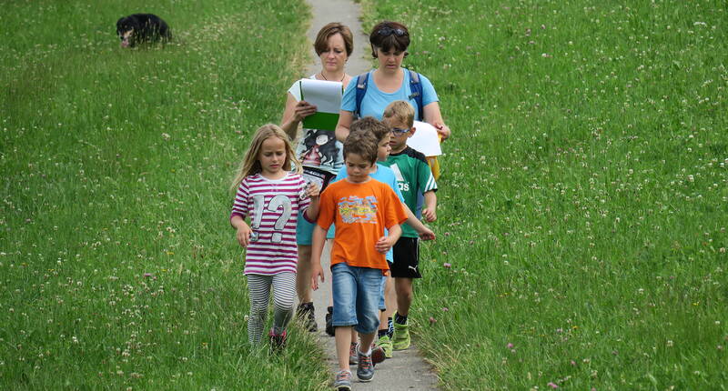 Caccia al tesoro per famiglie Aeschi. Questa esperienza è adatta a tutta la famiglia! Trovate la strada con l'aiuto della descrizione del percorso, godetevi il fantastico panorama in continua evoluzione e rispondete a domande semplici e difficili lungo il percorso. Il divertimento è garantito in questo tour!