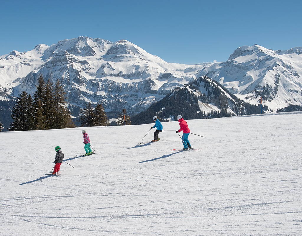 Le domaine skiable de Betelberg, avec ses pistes parfaitement préparées, est idéal pour une journée de ski détendue. Les débutants apprécient tout particulièrement le terrain en pente douce qui s'étend de Leiterli à Stoss. 