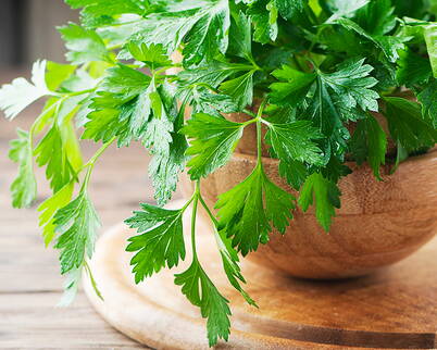 Eine selbstgemachte Gesichtsmaske aus Petersilie kann dazu beitragen, das Hautbild zu klären und aufzuhellen, da Petersilie reich an Vitamin C und Antioxidantien ist. Die Maske eignet sich besonders für Menschen mit unebener oder fahler Haut.