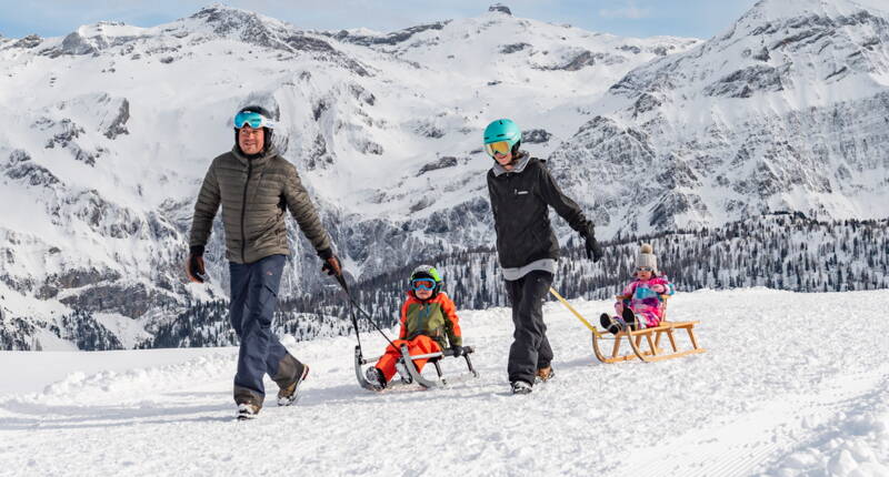 Esperienza di slittino per tutta la famiglia sulle piste preparate del Betelberg a Lenk, immersa in uno spettacolare paesaggio invernale con cime innevate.