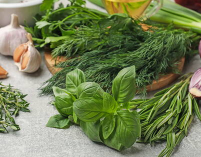 Basilikum, Dill, Rosmarin, Thymian und Knoblauch liegen frisch geerntet auf einer Arbeitsfläche – bereit für die Weiterverarbeitung.