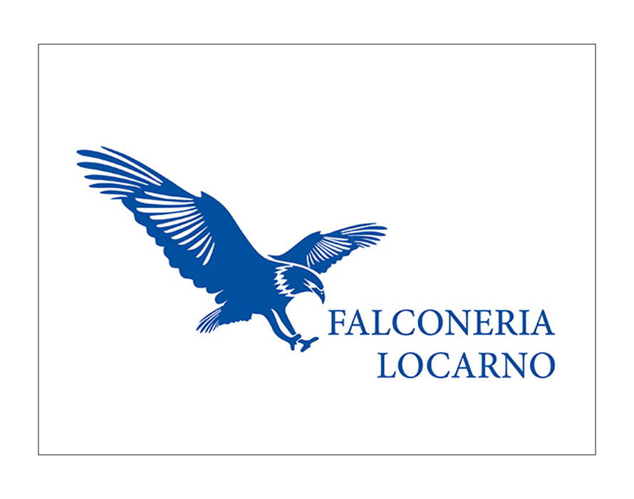 Blaues Logo mit stilisiertem fliegendem Greifvogel und Schriftzug „Falconeria Locarno“.
