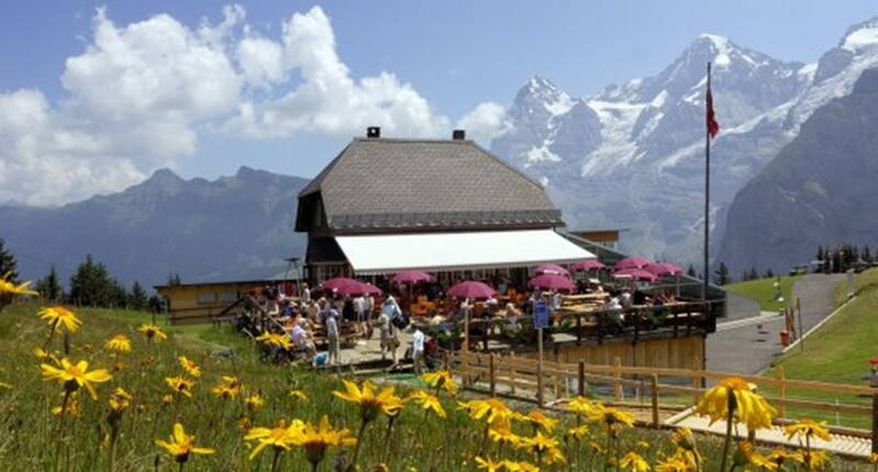 Excursion en famille Allmendhubel / Schilthornbahnen. Pour les randonneurs, l'Allmendhubel est une belle destination. Le sentier pieds nus réveille tous les esprits, même après la randonnée la plus fatigante.