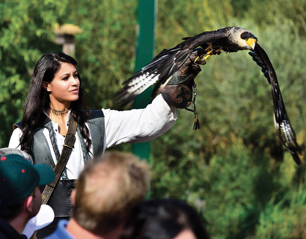 Découvre des aigles, des vautours, des faucons, des hiboux, des cigognes et des marabouts en vol libre. L'élégance de ces merveilleux oiseaux te transporte dans une autre dimension et t'offre une parenthèse dans le quotidien trépidant. Les spectacles de vol époustouflants durent environ une heure et t'enthousiasmeront toi aussi.