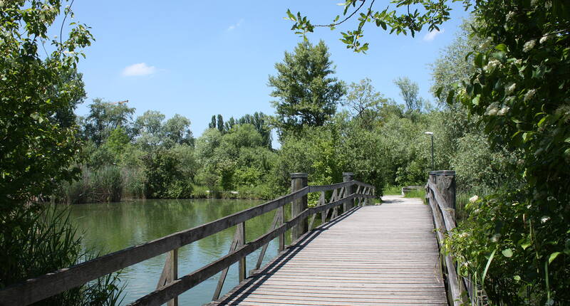 Der Park «im Grünen» bietet allen Besuchern das Passende. Tiere, Pflanzen, Skulpturen, Minigolf, Karussell sowie einen grossen Kinderspielplatz.