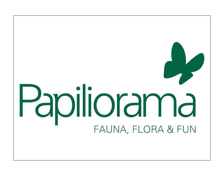 Grünes Logo mit Schriftzug „Papiliorama“ und Schmetterlingssymbol sowie Zusatz „Fauna, Flora & Fun“.