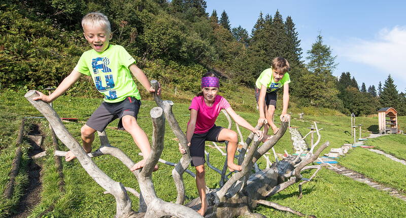 Excursion en famille - Le sentier Heidi se parcourt en une heure et demie avec des enfants et est accessible en poussette jusqu'à l'alpage de Schwarzbüel.