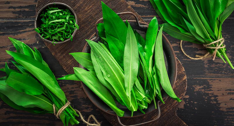 Frisch gesammelter Bärlauch auf Holzbrett – gesundes Wildkraut für Küche und natürliche Anwendungen im Frühling