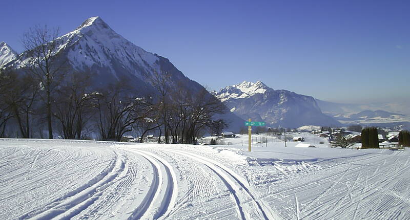 Escursione per famiglie con sci di fondo a Aeschi. I principianti, gli sciatori esperti e gli specialisti possono godersi 35 km di piste di fondo classiche e 32 km di piste di skating da Aeschi passando per Aeschiried fino alla Suldtal, oltre a 2 km di piste notturne ad Aeschiried.