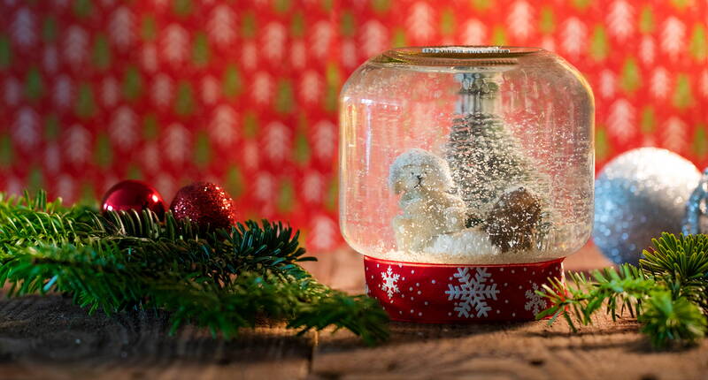 Ob als Dekoration für den Eingangsbereich oder als Geschenk für Familie und Freunde – die selbst gemachte Schneekugel sorgt für die passende Stimmung und strahlende Augen. Wie ihr die stimmungsvolle Schneekugel mit wenig Aufwand mit den Kindern nachbasteln könnt, erfahrt ihr hier.