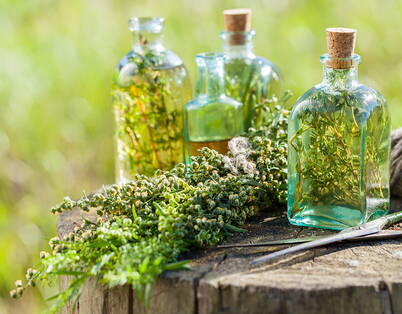 Glasflaschen mit eingelegten frischen Kräutern stehen im Freien auf einem Holztisch – ideal zur Herstellung von aromatisiertem Essig.
