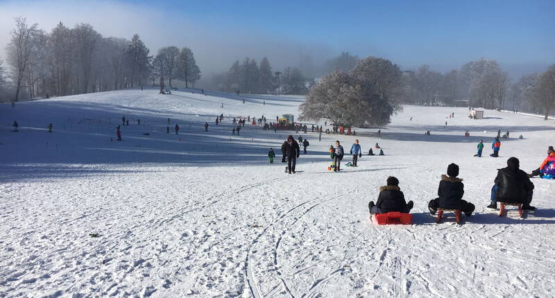 Escursione per famiglie a Berna: se la neve è sufficiente, è possibile andare in slitta sulla montagna locale di Berna, il Gurten.