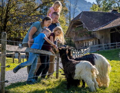 Mehrere Personen stehen an einem Zaun und füttern Ziegen auf einer ländlichen Wiese vor einem traditionellen Bauernhof.