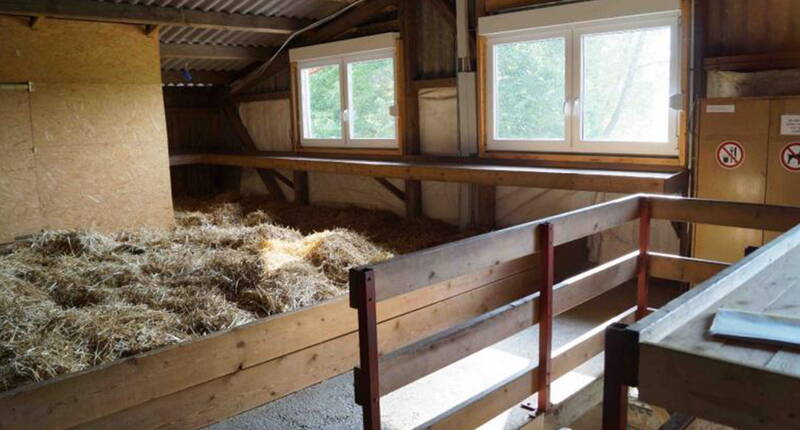 Familienausflug Schlafen im Stroh. Familienausflug Schlafen im Stroh. Auf dem Bolderhof von Familie Morgenegg kannst du entweder im Stroh, im Matratzenlager, im Zimmer oder in der Ferienwohnung übernachten.