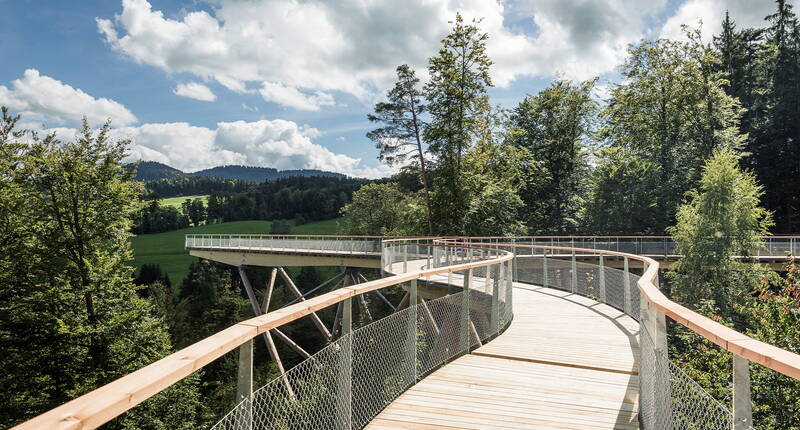 Familienausflug Baumwipfelpfad. Erlebt den Wald mit allen Sinnen: Der 500 m lange Baumkronenweg führt vom Waldboden hoch bis über die Baumwipfel. Geniesst auf den Aussichtsplattformen spannende Einblicke in den Wald sowie eine wunderbare Fernsicht.