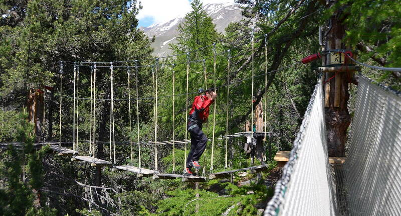 Im Kletterpark hangelt man sich von Baum zu Baum und überwindet verschiedene Hindernisse in den Baumwipfeln.