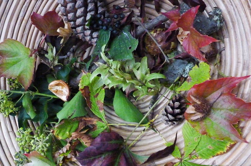 herbstliches Spinnennetzfenster Gestalte jetzt ein dekoratives Herbstfenster mit Naturmaterialien. Was du dazu brauchst, erfährst du in unserer Bastelanleitung.