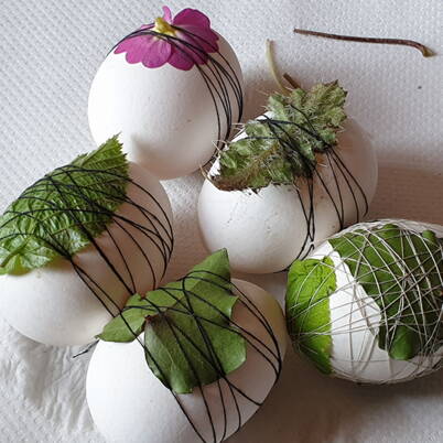 Mehrere Eier, die mit grünen Blättern belegt und mit dunklem Faden fest umwickelt wurden – vorbereitet für die traditionelle Fadenwickeltechnik.