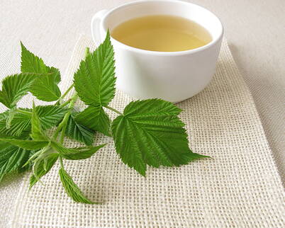 Frisch aufgebrühter Himbeerblättertee zur Geburtsvorbereitung Tasse mit frisch aufgebrühtem Himbeerblättertee und frischen Himbeerblättern als natürliches Hausmittel in der Schwangerschaft.