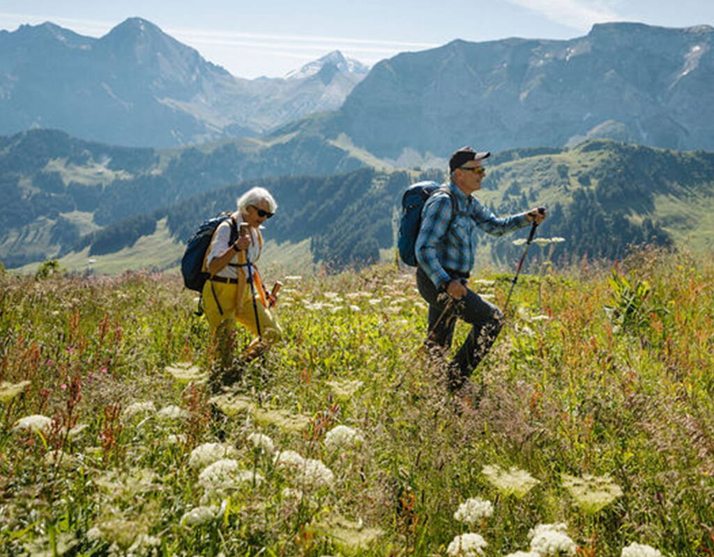 Le long du chemin, tu rencontreras d'innombrables fleurs qui sont accompagnées d'informations détaillées et d'un dessin de la plante correspondante. La randonnée n'exige pas d'efforts particuliers de ta part et te fera passer par les restaurants Hahnenmoos et Sillernenbühl. Et quand pars-tu?