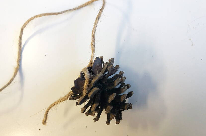 Tannzapfendeko Aus Holzkugeln und Tannzapfen entstehen innert kürzester Zeit fantastische Anhänger, der sowohl Weihnachtsbaum, Adventsfenster als auch den Eingangsbereich zur Winterzeit ziert. Wie ihr diesen mit wenig Aufwand mit den Kindern nachbasteln könnt, erfahrt ihr hier.