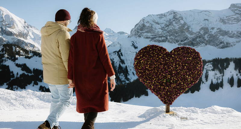 Le Vogellisi n'est pas le seul à être tombé amoureux du paysage enneigé des sommets d'Adelboden. Le tout nouveau sentier thématique hivernal avec différents postes entre Sillerenbühl et Geils fait battre les cœurs.