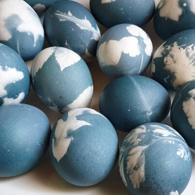 Une collection d’œufs de Pâques bleus décorés de motifs végétaux blancs, naturellement colorés avec du chou rouge.
