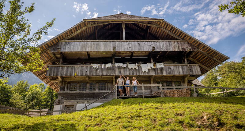Gita in famiglia al Museo all'aperto del Ballenberg. Scopri la Svizzera in un solo luogo! 110 edifici provenienti da tutte le regioni del paese, 200 animali da fattoria e 30 mestieri artigianali storici ti aspettano nel museo all'aperto Ballenberg.