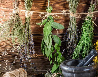 Verschiedene zu Bündeln zusammengebundene Kräuterzweige wie Lorbeer und Lavendel an einer gespannten Schnur aufgehängt.