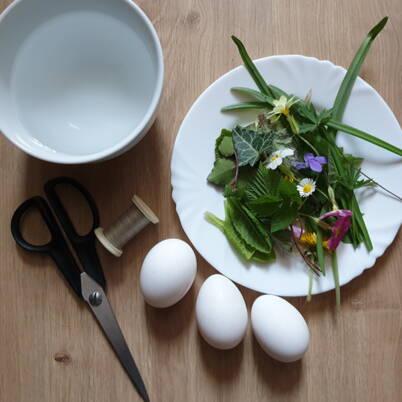 Una selezione di materiali per colorare le uova di Pasqua: uova bianche, foglie e fiori freschi su un piatto, forbici, una bobina di filo e una ciotola d’acqua, il tutto disposto su un tavolo di legno.