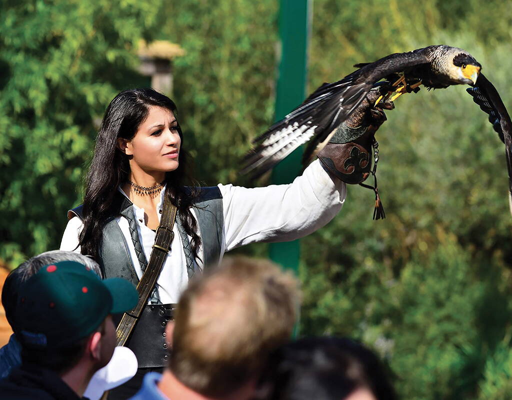 Lass dich in die spannende Welt der Greifvögel entführen. Während den Vorführungen kannst du Adler, Eulen, Geier, Falken, Marabus, Waldrappen und Störche im freien Flug und aus nächster Nähe bestaunen. Lade unseren Rabatt-Gutschein herunter und lass dich in die faszinierende Welt der Greifvögel entführen. 