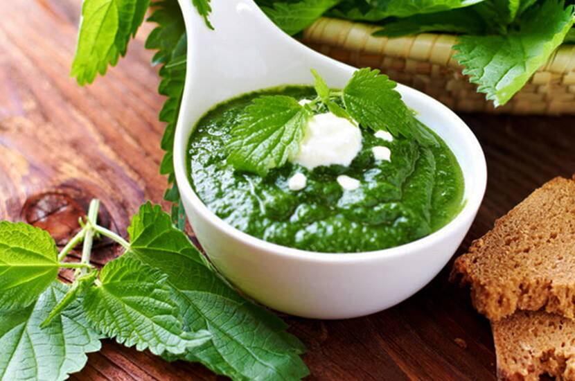 Pesto di ortica fatto in casa con feta e semi di girasole – salsa per pasta salutare