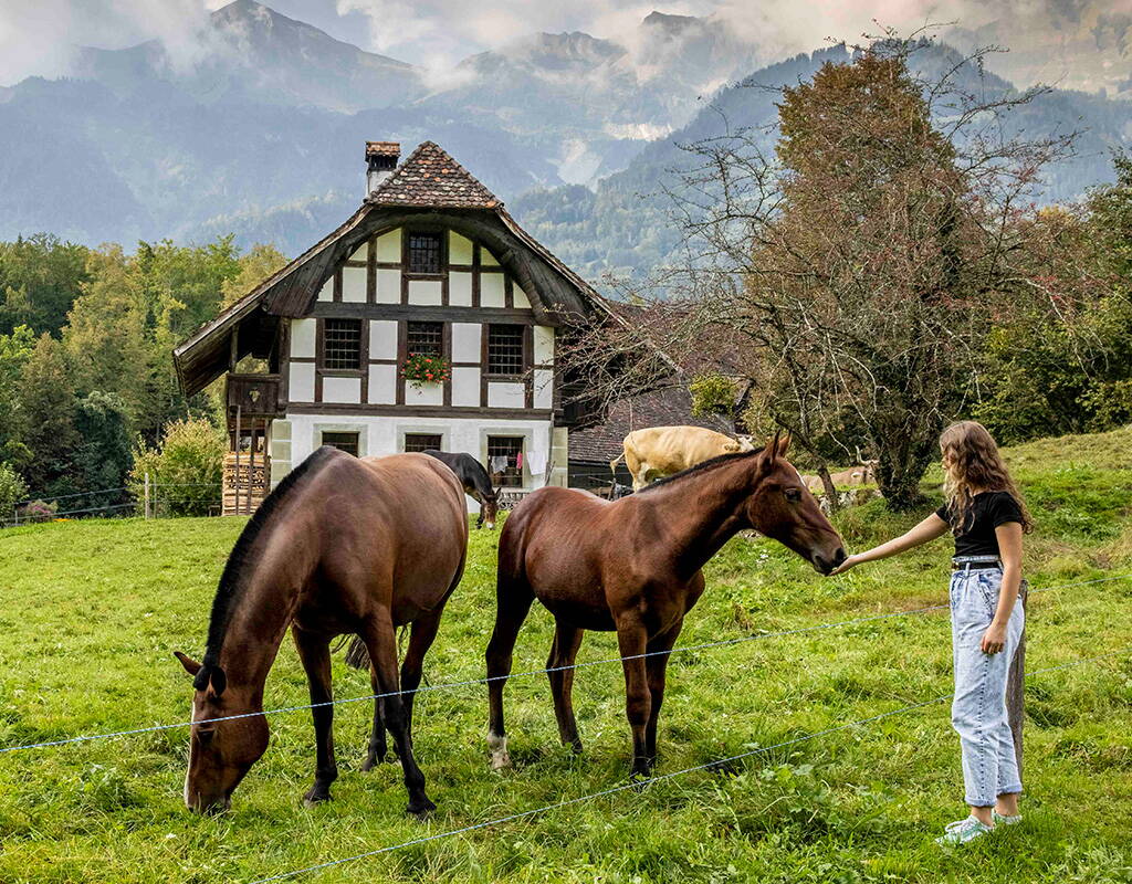 Zwei Pferde grasen auf einer Wiese vor einem traditionellen Bauernhaus, während im Hintergrund Berge in leichtem Nebel zu sehen sind.