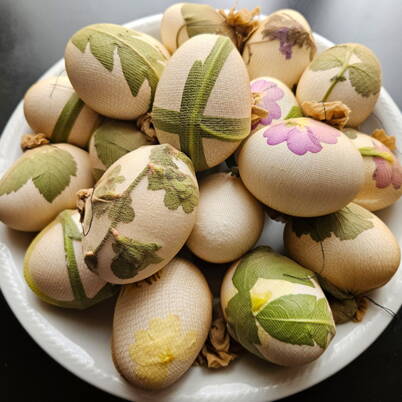 Plusieurs œufs, recouverts de feuilles et de fleurs et enveloppés fermement dans des bas en nylon, prêts pour la coloration naturelle.