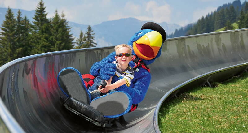 Ein Vergnügen für gross und klein ist die Sommerrodelbahn auf Ristis, direkt neben der Bergstation der Luftseilbahn und dem Bergrestaurant Ristis auf 1600 müM. gelegen. Ihr besonderes Merkmal liegt in der Einbettung in eine herrliche Landschaft inmitten blühender Alpenblumen und einem wunderschönen Bergpanorama.