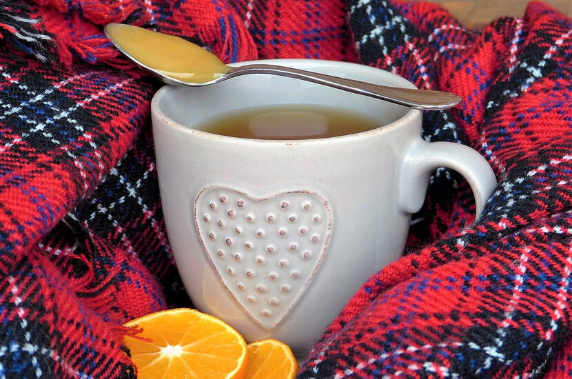 Dafür eignen sich Hagebutten- (stärkt das Immunsystem), Kamillen- (macht die Nase frei) oder Thymian-Tee (wirkt schleimlösend). Den Tee mit Sanddorn-Mark süssen (enthält viel Vitamin C).