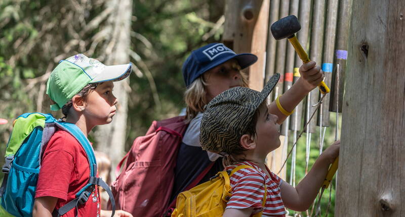 Escursione per famiglie sentiero sonoro. Il sentiero, in parte adatto ai disabili, ai piedi delle cime dei Churfirsten conduce in diverse tappe dall'Alp Sellamatt ad Alt St. Johann a Oberdorf a Wildhaus.